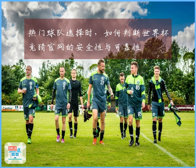 热门球队选择时,如何判断世界杯竞猜官网的安全性与可靠性