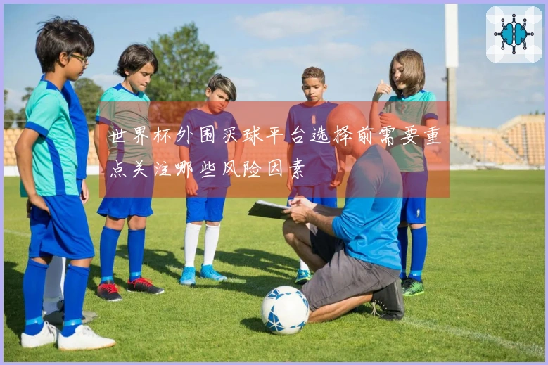 世界杯外围买球平台选择前需要重点关注哪些风险因素